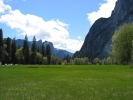 PICTURES/Yosemite National Park/t_El Capitan Meadow.JPG